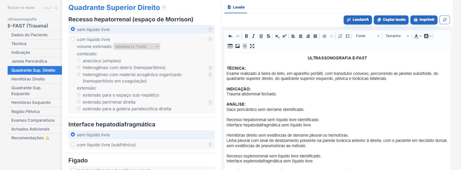 Tela do Laudário: E-FAST, quadrante superior direito
